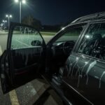 Signale für mehr Erfolg beim Parkplatz Wichsen