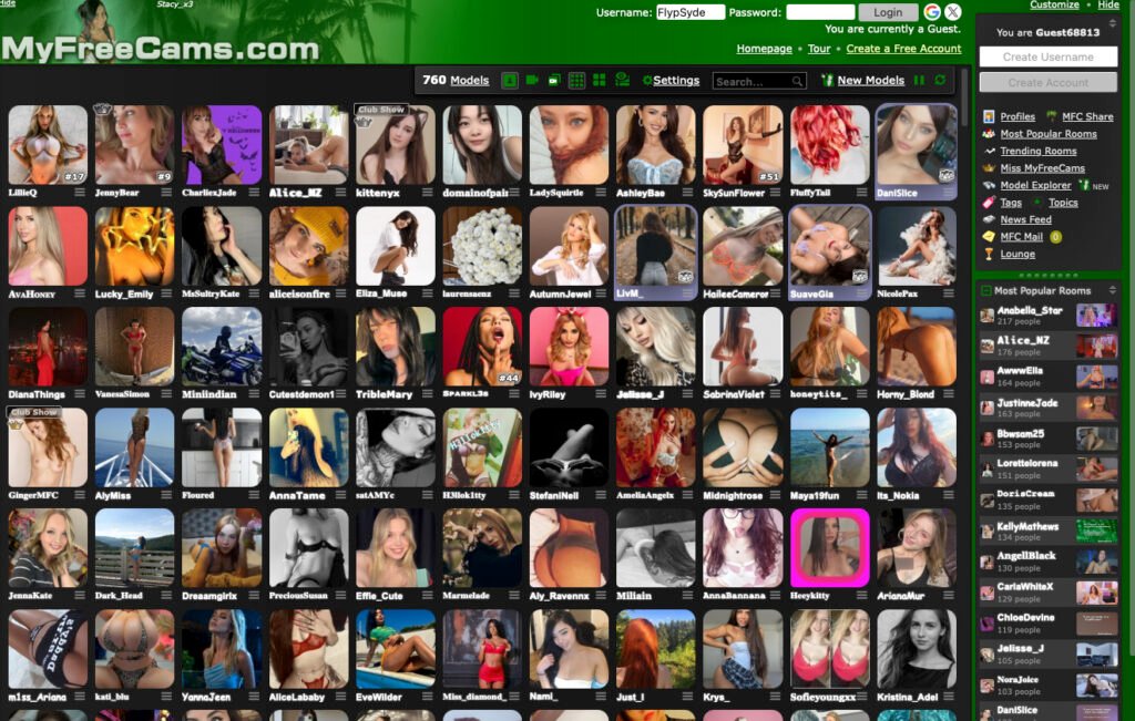 MyFreeCams ist besonders in den USA beliebt, aber auch deutsche Nutzer finden immer mehr gefallen